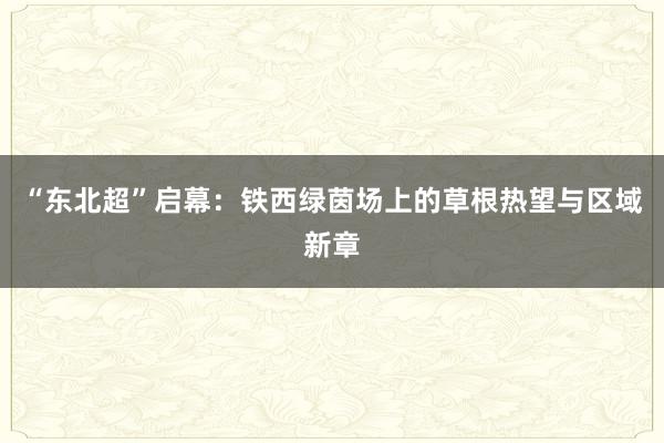 “东北超”启幕：铁西绿茵场上的草根热望与区域新章