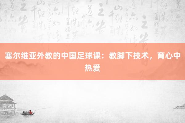 塞尔维亚外教的中国足球课：教脚下技术，育心中热爱