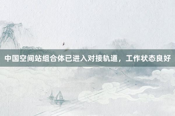 中国空间站组合体已进入对接轨道，工作状态良好