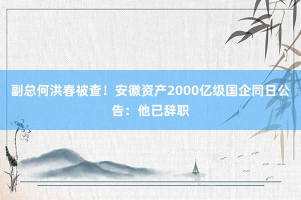 副总何洪春被查！安徽资产2000亿级国企同日公告：他已辞职