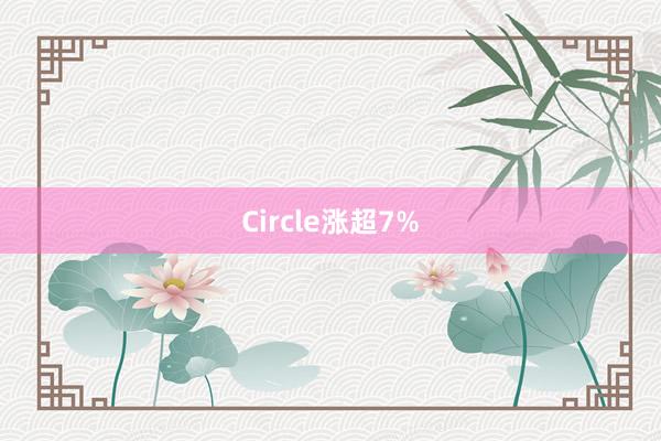 Circle涨超7%