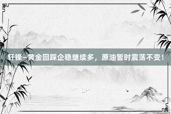 轩锋—黄金回踩企稳继续多，原油暂时震荡不变！