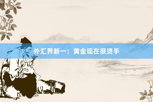 外汇界新一：黄金现在很烫手