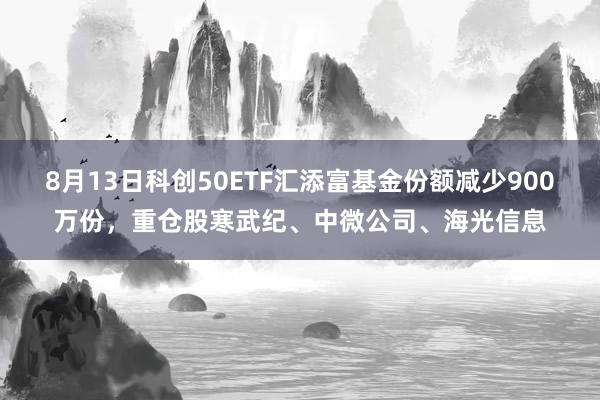 8月13日科创50ETF汇添富基金份额减少900万份,重仓股寒武纪、中微公司、海光信息