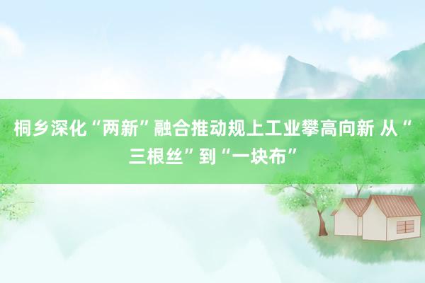 桐乡深化“两新”融合推动规上工业攀高向新 从“三根丝”到“一块布”