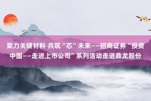 聚力关键材料 共筑“芯”未来——招商证券“投资中国——走进上市公司”系列活动走进鼎龙股份