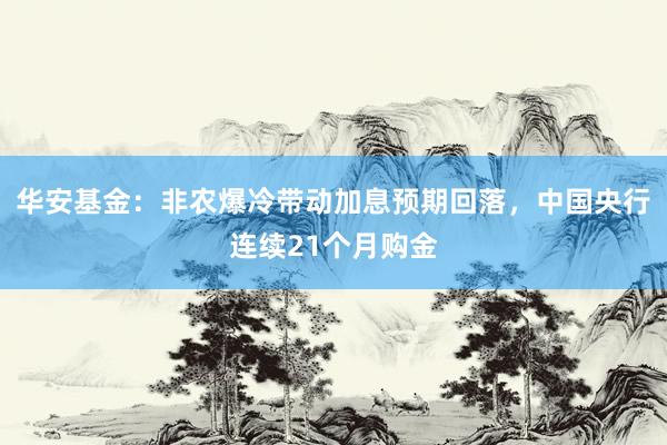 华安基金：非农爆冷带动加息预期回落，中国央行连续21个月购金