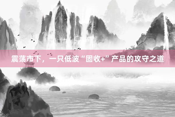 震荡市下，一只低波“固收+”产品的攻守之道