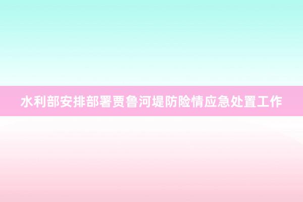 水利部安排部署贾鲁河堤防险情应急处置工作