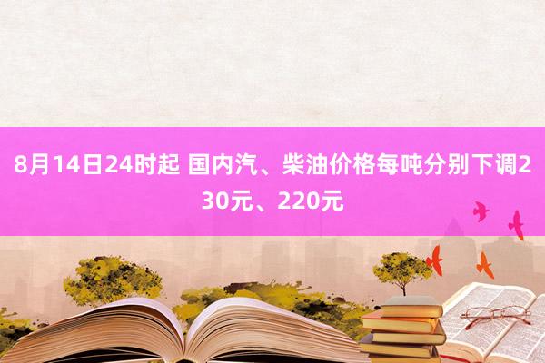 8月14日24时起 国内汽、柴油价格每吨分别下调230元、220元