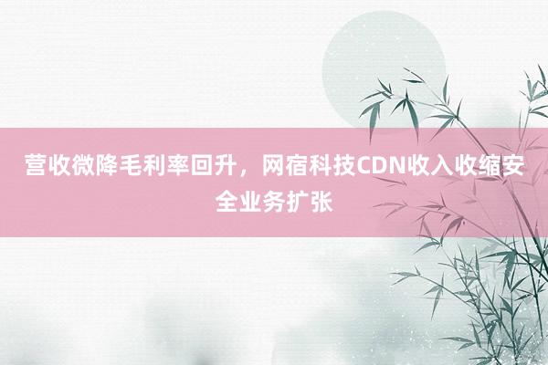 营收微降毛利率回升，网宿科技CDN收入收缩安全业务扩张