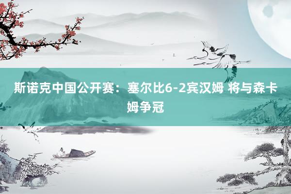 斯诺克中国公开赛：塞尔比6-2宾汉姆 将与森卡姆争冠
