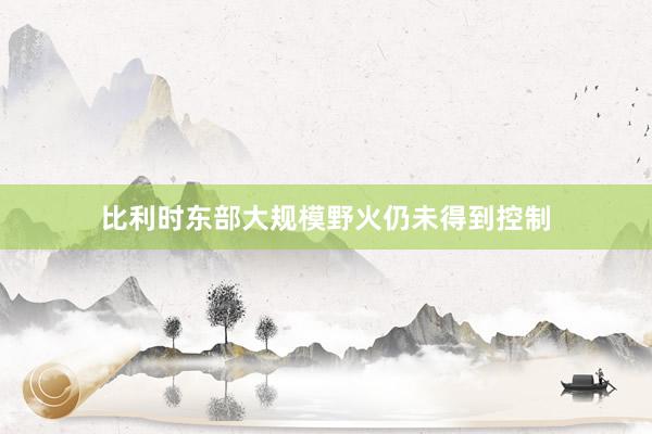比利时东部大规模野火仍未得到控制