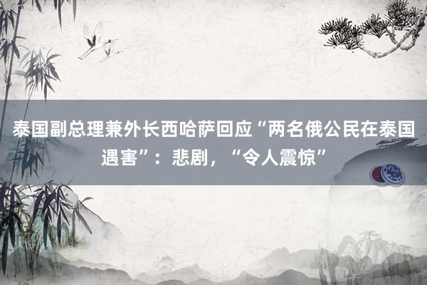 泰国副总理兼外长西哈萨回应“两名俄公民在泰国遇害”：悲剧，“令人震惊”