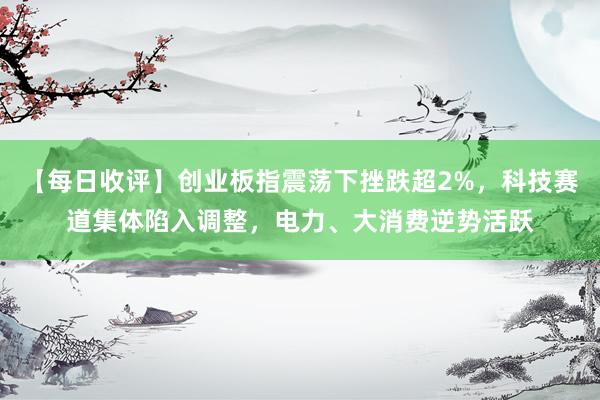 【每日收评】创业板指震荡下挫跌超2%，科技赛道集体陷入调整，电力、大消费逆势活跃