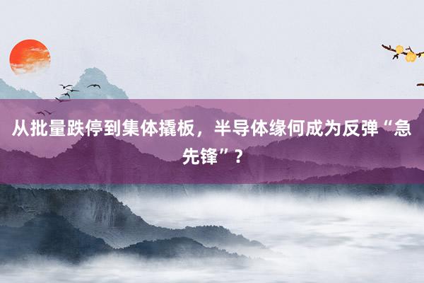 从批量跌停到集体撬板，半导体缘何成为反弹“急先锋”？