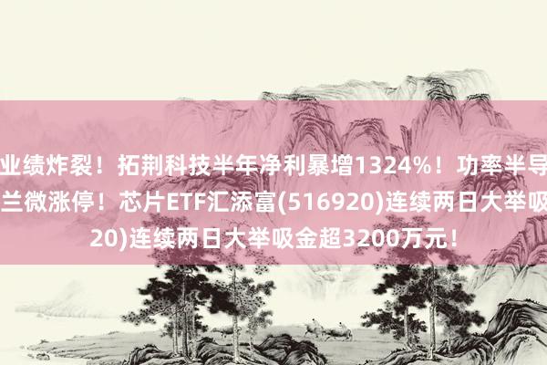 业绩炸裂！拓荆科技半年净利暴增1324%！功率半导体概念爆发，士兰微涨停！芯片ETF汇添富(516920)连续两日大举吸金超3200万元！