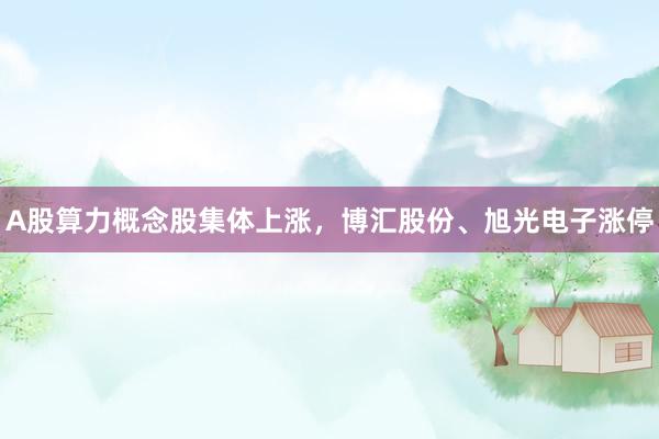 A股算力概念股集体上涨，博汇股份、旭光电子涨停
