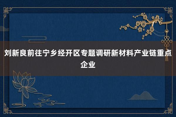 刘新良前往宁乡经开区专题调研新材料产业链重点企业