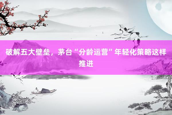 破解五大壁垒，茅台“分龄运营”年轻化策略这样推进