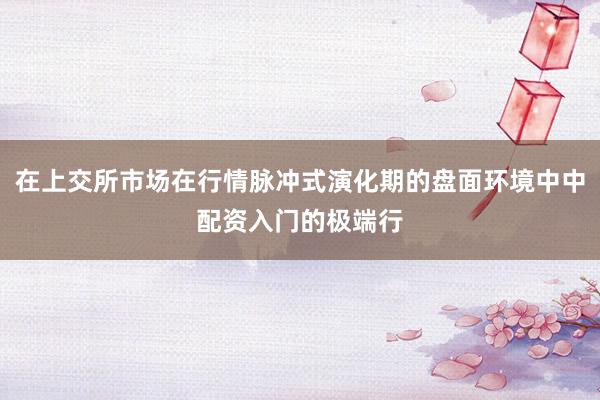 在上交所市场在行情脉冲式演化期的盘面环境中中配资入门的极端行