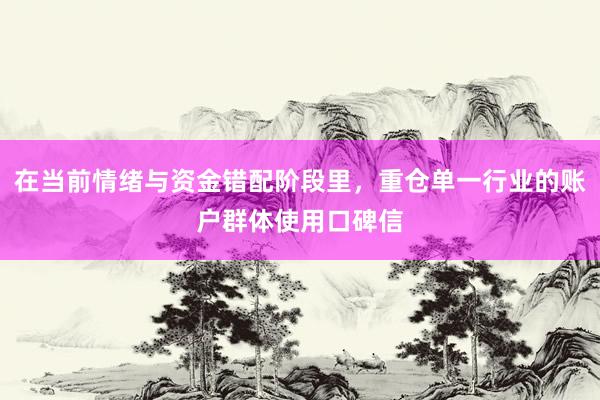 在当前情绪与资金错配阶段里，重仓单一行业的账户群体使用口碑信
