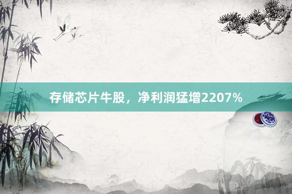 存储芯片牛股，净利润猛增2207%