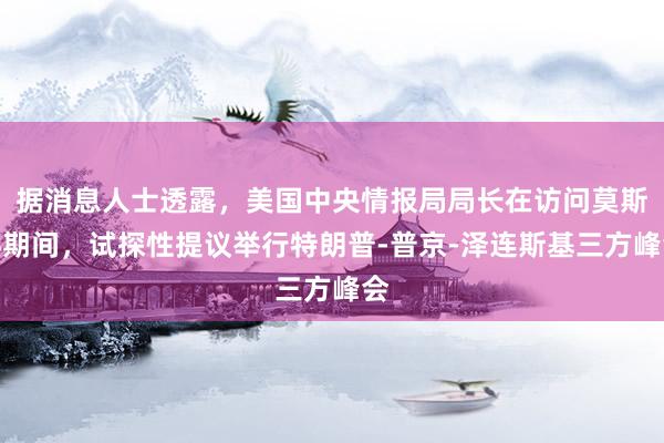 据消息人士透露，美国中央情报局局长在访问莫斯科期间，试探性提议举行特朗普‑普京‑泽连斯基三方峰会