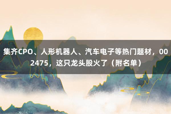 集齐CPO、人形机器人、汽车电子等热门题材，002475，这只龙头股火了（附名单）