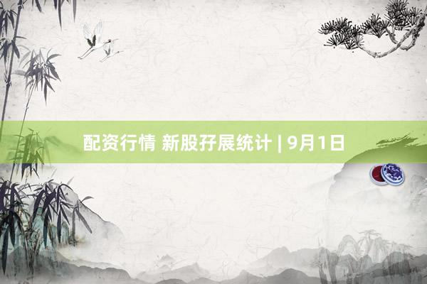 配资行情 新股孖展统计 | 9月1日