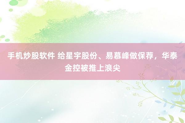 手机炒股软件 给星宇股份、易慕峰做保荐，华泰金控被推上浪尖