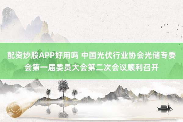 配资炒股APP好用吗 中国光伏行业协会光储专委会第一届委员大会第二次会议顺利召开