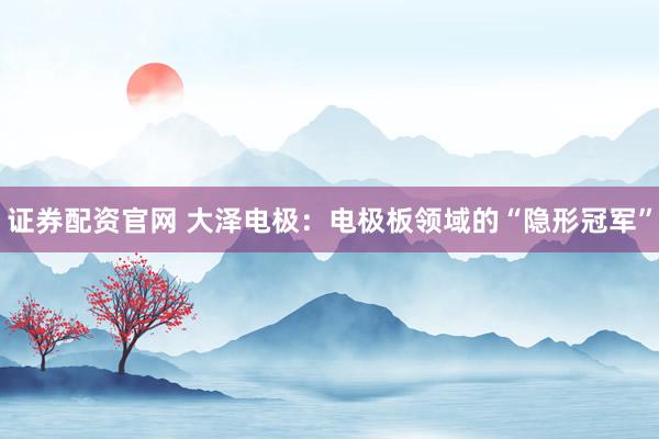 证券配资官网 大泽电极：电极板领域的“隐形冠军”