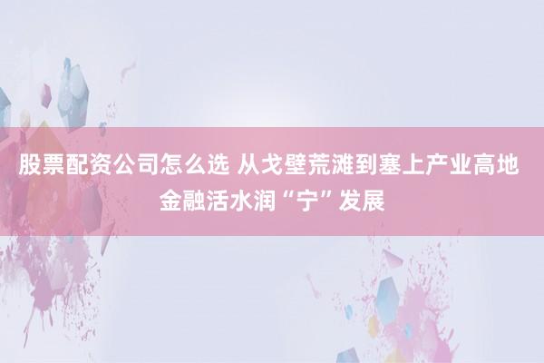股票配资公司怎么选 从戈壁荒滩到塞上产业高地 金融活水润“宁”发展