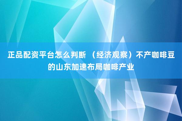 正品配资平台怎么判断 （经济观察）不产咖啡豆的山东加速布局咖啡产业